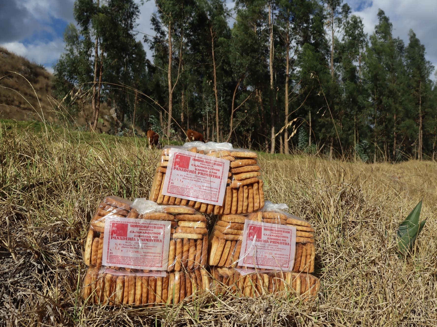 Galletas de Leche Primavera 500 gramos