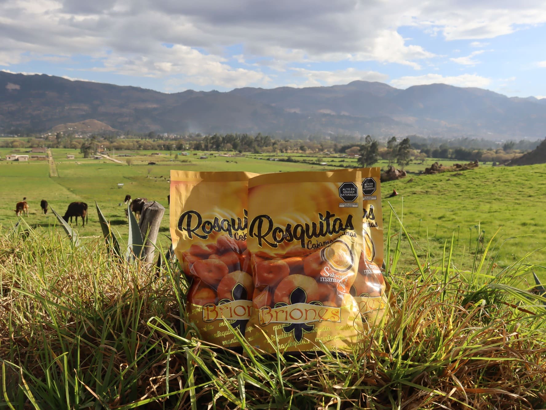 Roscas Briones Mantequilla 350 gramos