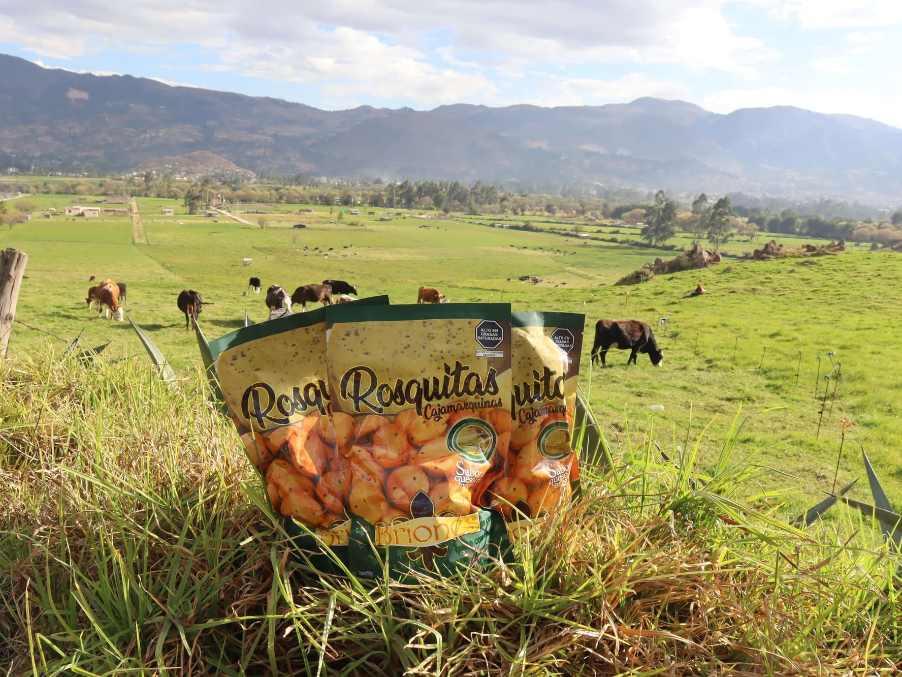 Roscas Briones Queso 350 gramos